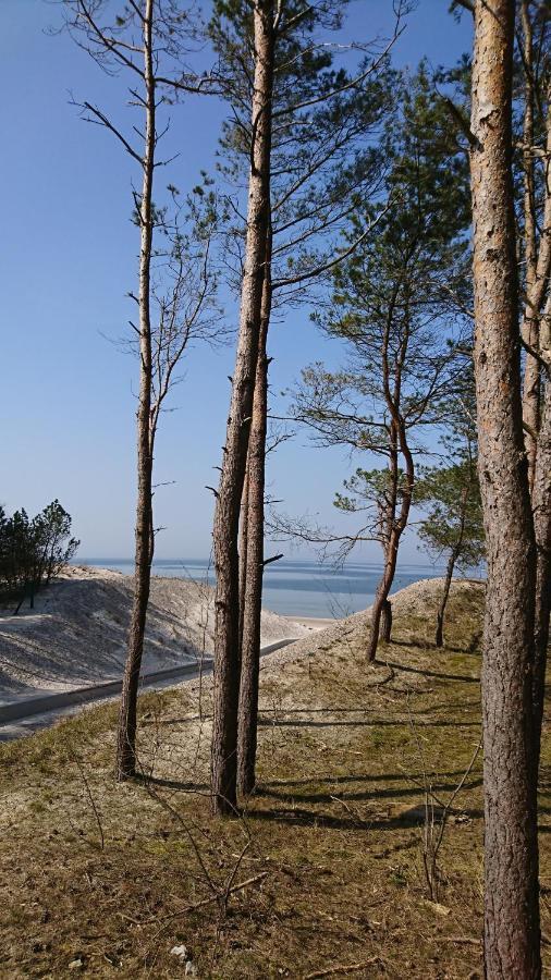 Apartament Premium Baltic House ミエンジボジェ エクステリア 写真